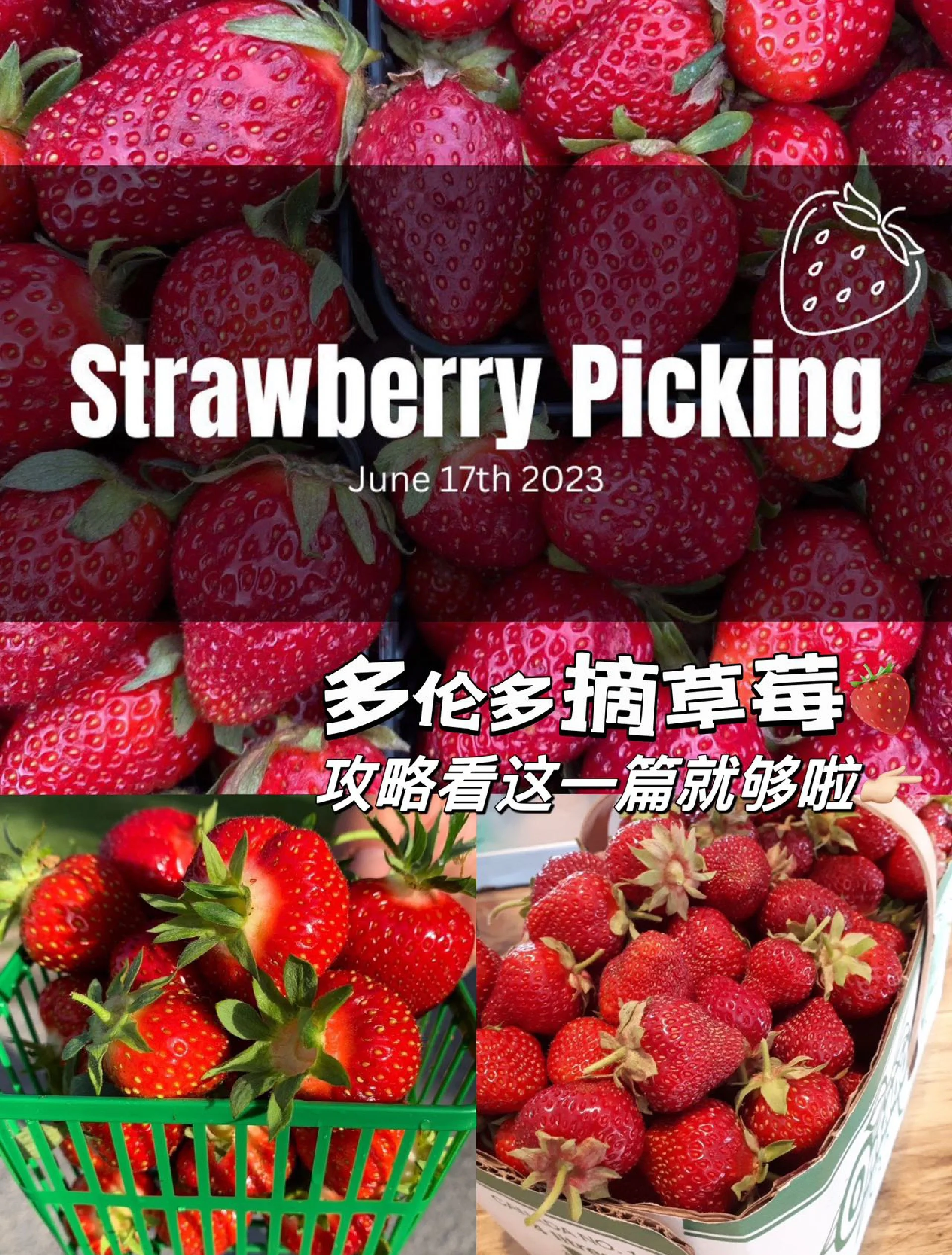 草莓视频下载…下载app草莓视频下载app，轻松获取视频资源，官网下载指南-第3张图片