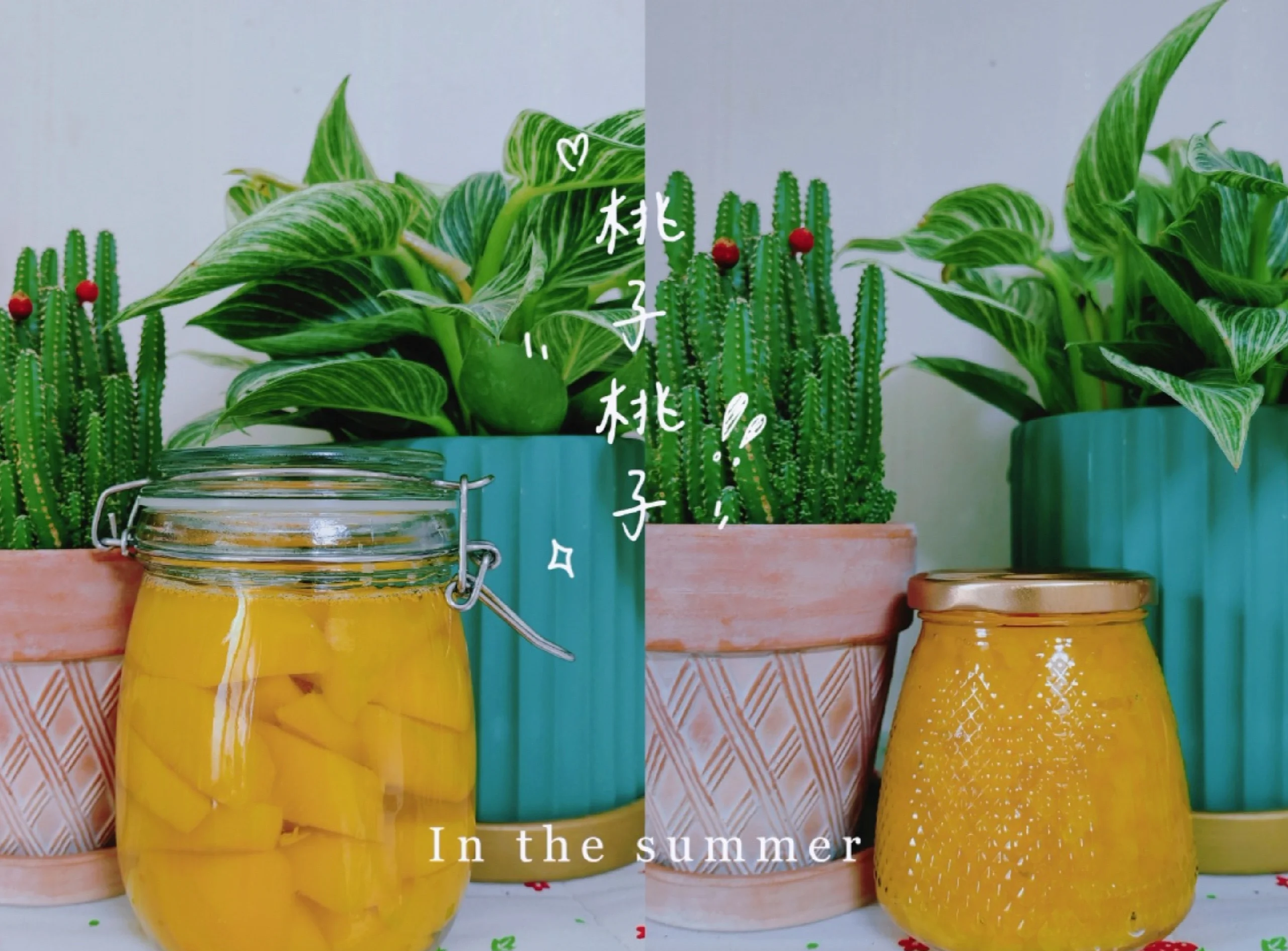 校园里的甜蜜回忆——黄桃罐头的故事-第1张图片