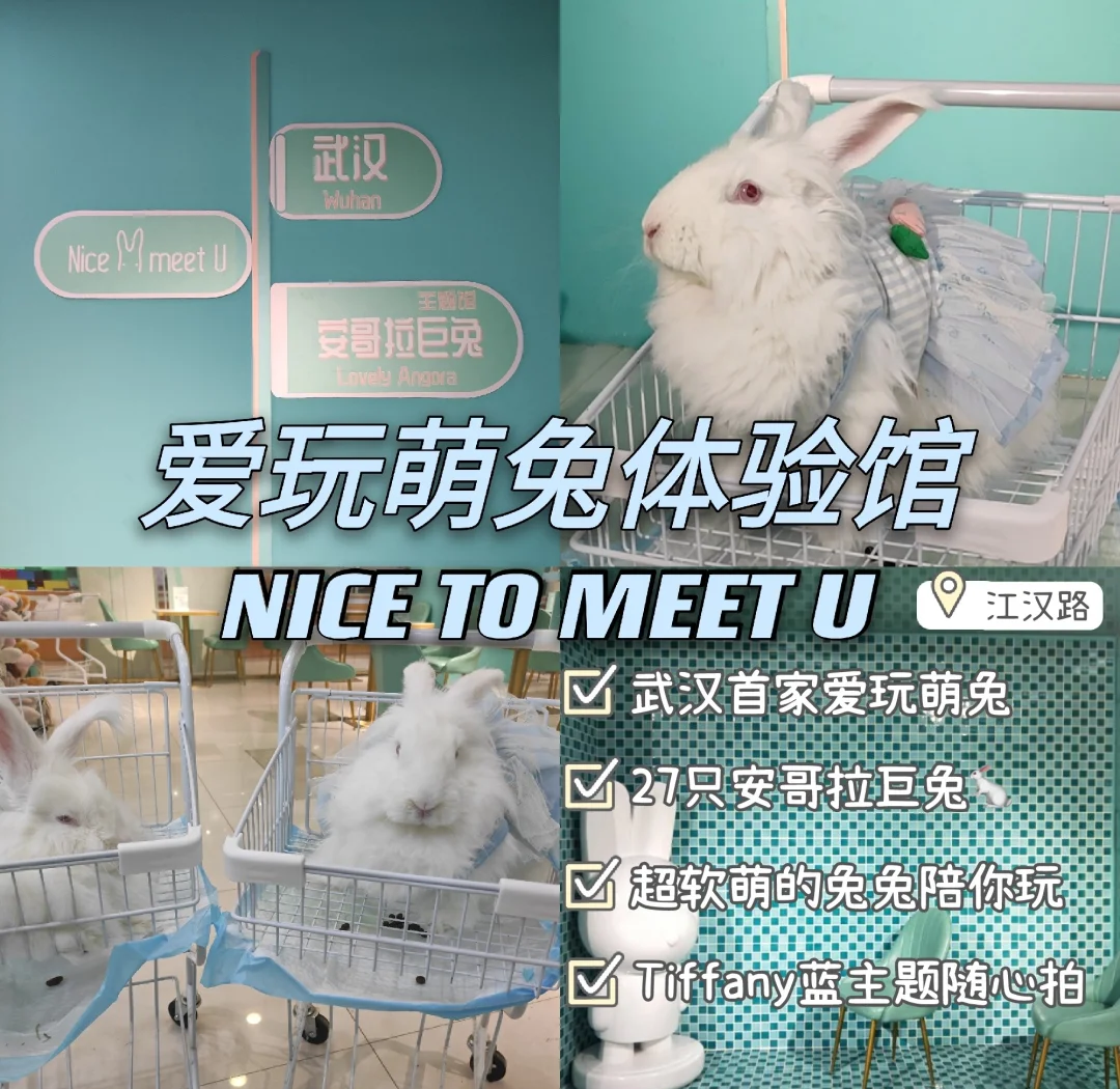 老师与她的柔软兔子——一次难忘的亲密体验