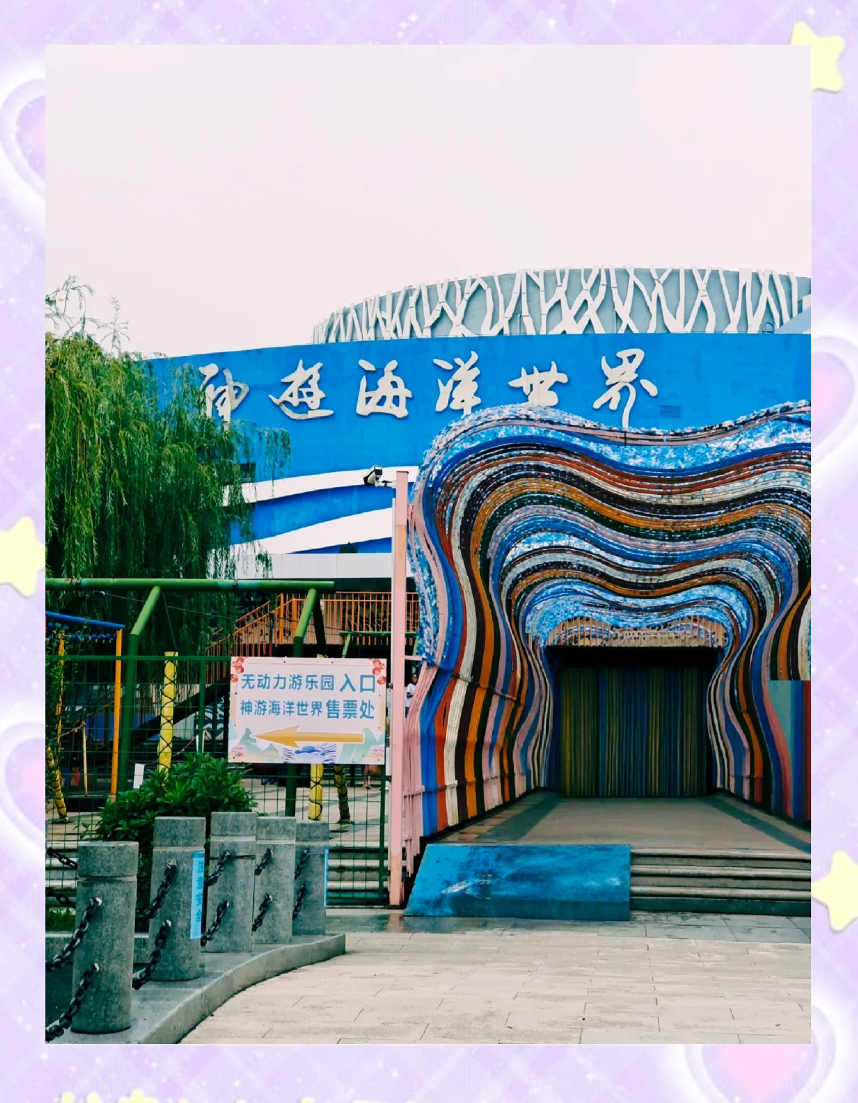 鱿鱼网进入官网BY2282在线观看鱿鱼网，BY2282在线观看，探索海洋的奇妙世界-第2张图片