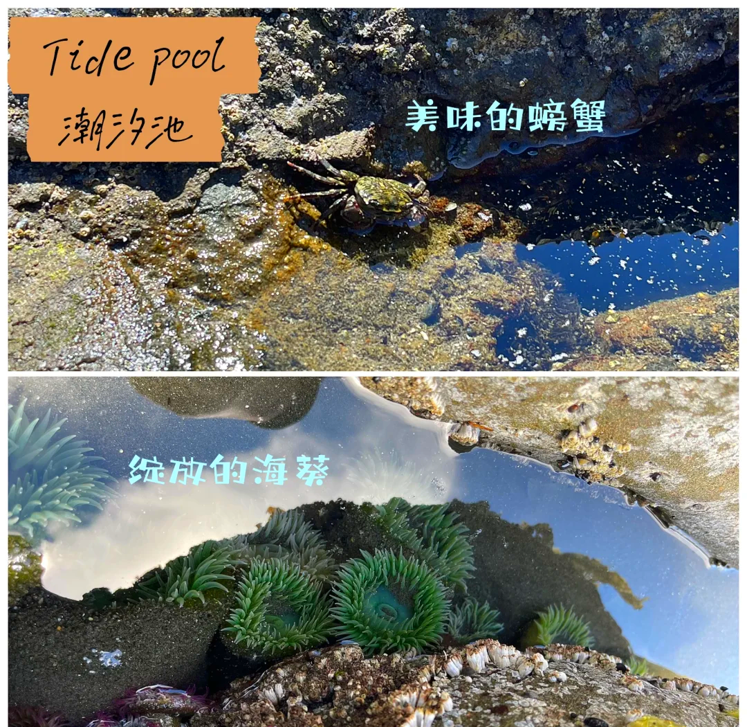 探索天堂岛最新版在线BT下载的奇妙之旅-第3张图片