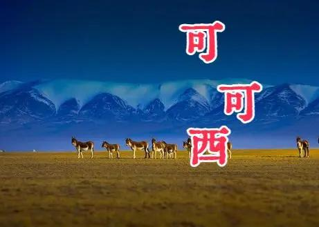 一线无人区是二线品牌吗探索男人天堂新篇章-第3张图片