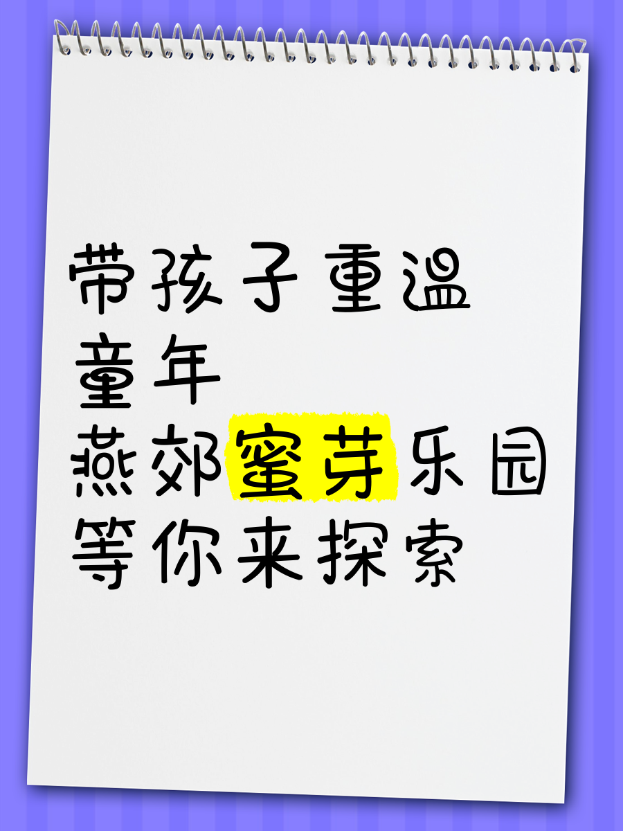 蜜芽.MIYA188.CNN永不失联 51DADOU蜜芽.MIYA188与51DADOU，探索网络世界的永不失联之旅