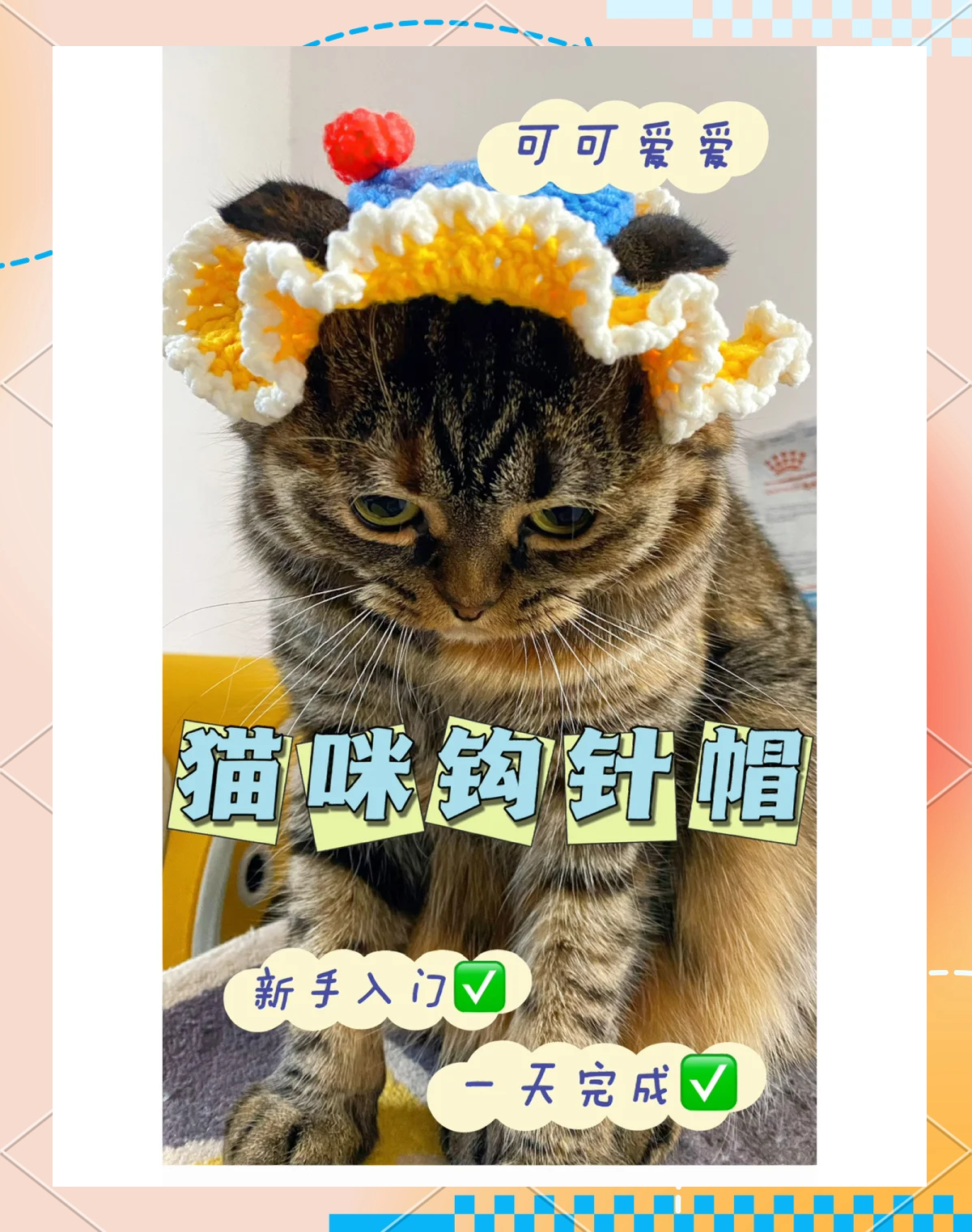 新版猫咪猫咪必火3.0版本v3.0新版猫咪猫咪必火官网——打造宠物爱好者的首选平台-第3张图片