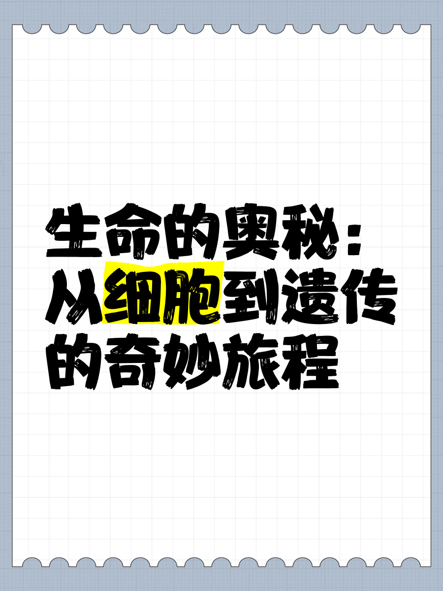 细胞分裂6黑名单细胞分裂6，深入探索生命的奥秘