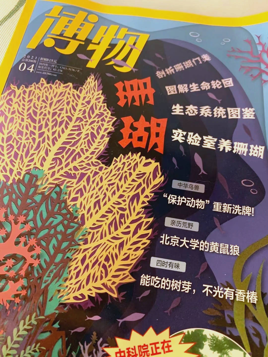 探索21种性姿势动态图，深入理解与体验