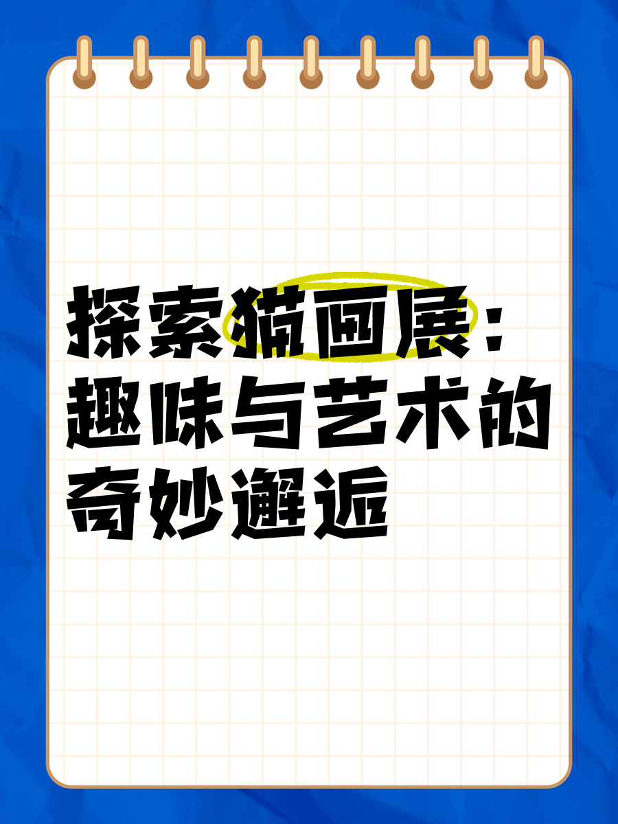 猫网飞探索猫的奇妙世界——猫网之探索-第2张图片