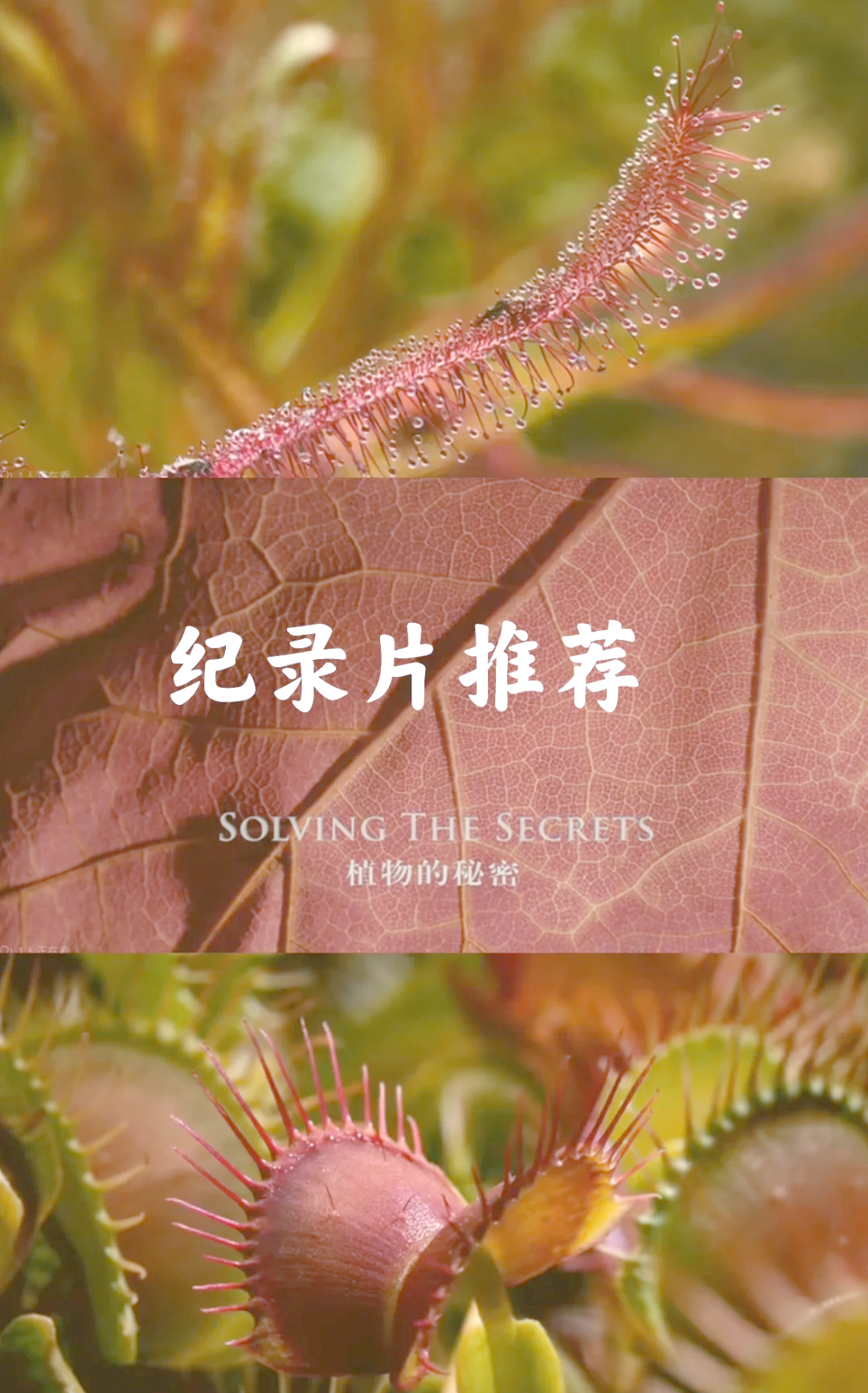 探索夜晚的秘密，关于观看亏亏视频的深度解析-第2张图片