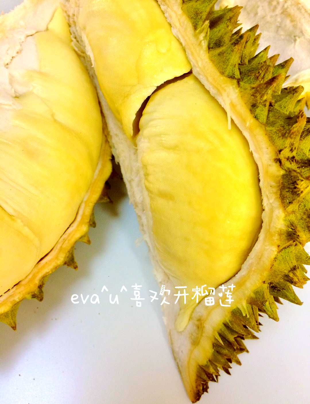 探索ll999.c榴莲app的魅力与功能-第3张图片