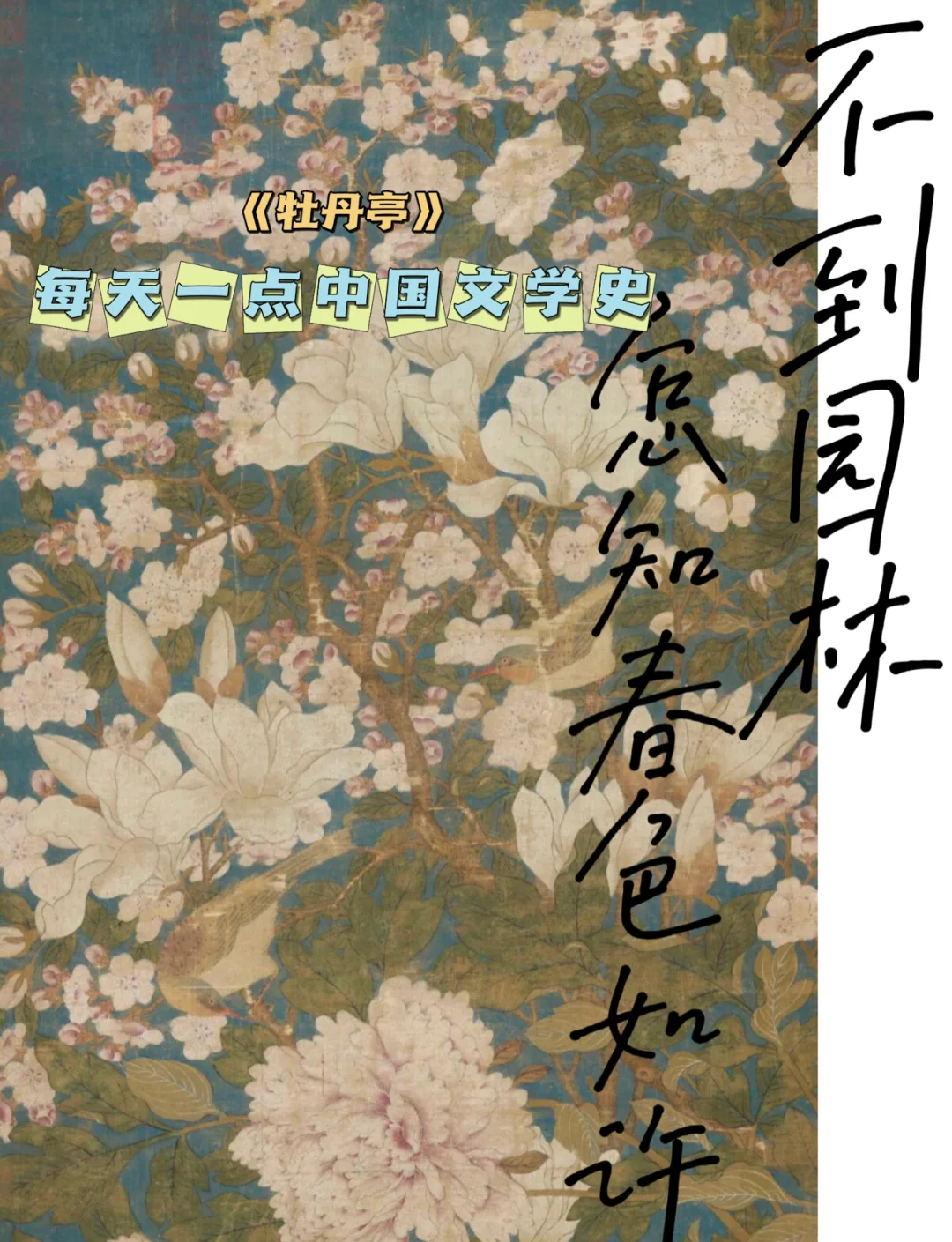 牡丹亭江南百景图剧情牡丹亭与江南百景图，邂逅古典与现代的完美融合-第3张图片