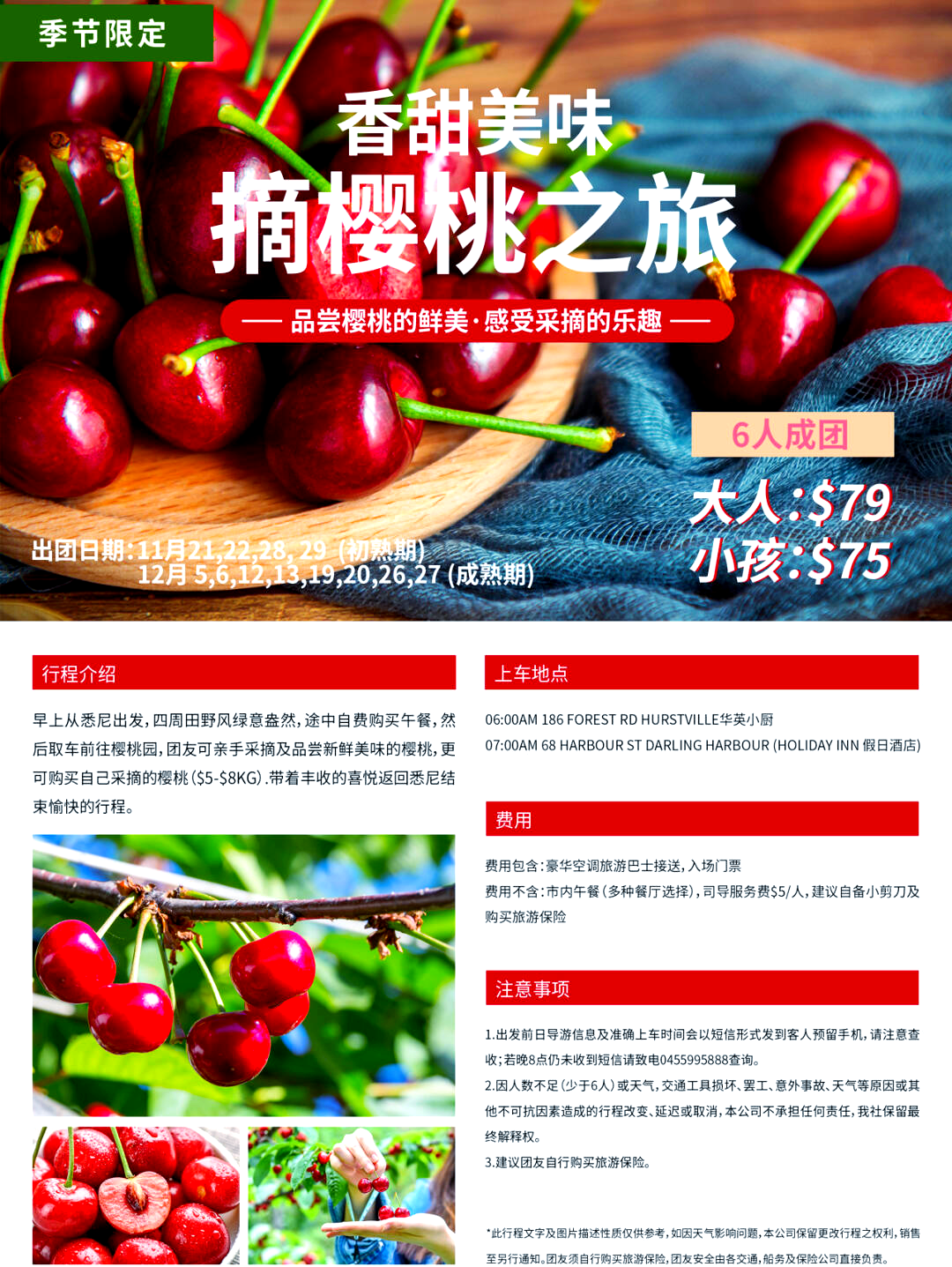 探索蜜桃的魅力之旅