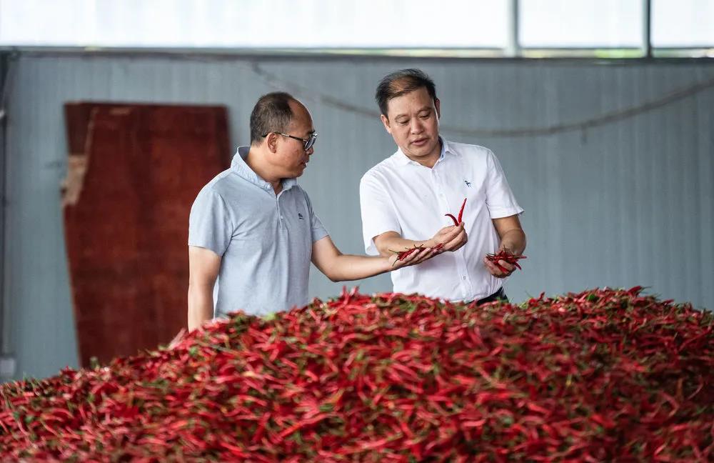 加拿大辣椒城网站加拿大辣椒城，辣味之都的魅力之旅-第2张图片