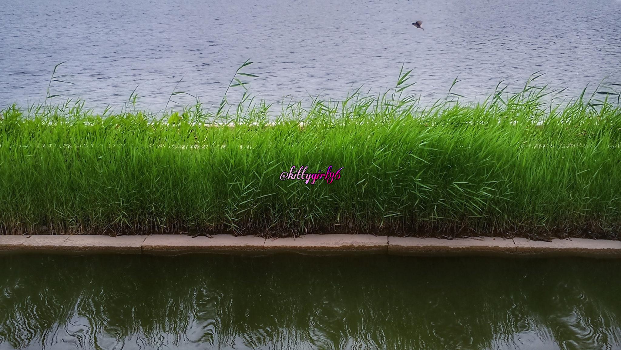 青青河边草视频免费2019免费观看2019年青青河边草视频-第2张图片