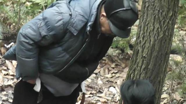 老人森林交易视频高清老人森林交易视频的背后故事-第2张图片