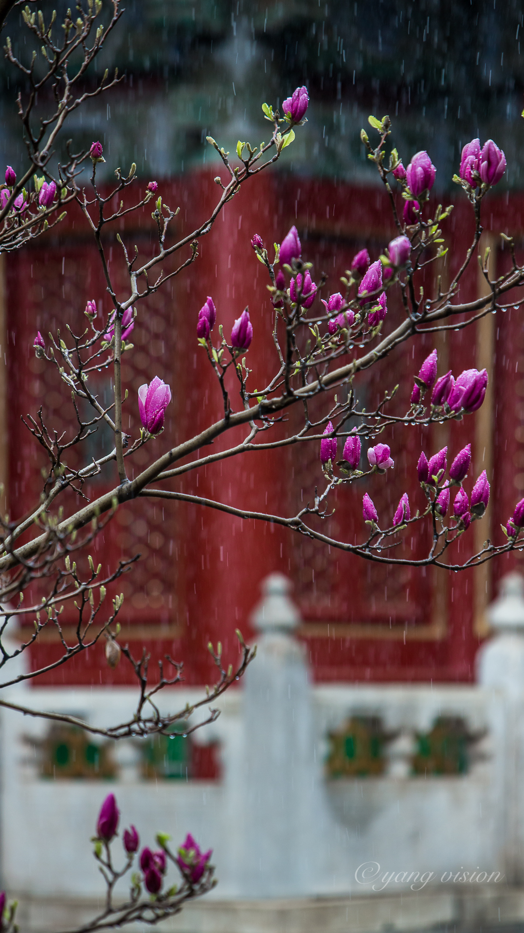 御花园hlh霍元甲全文免费阅读无弹窗御花园中的Hlh霍传奇-第2张图片