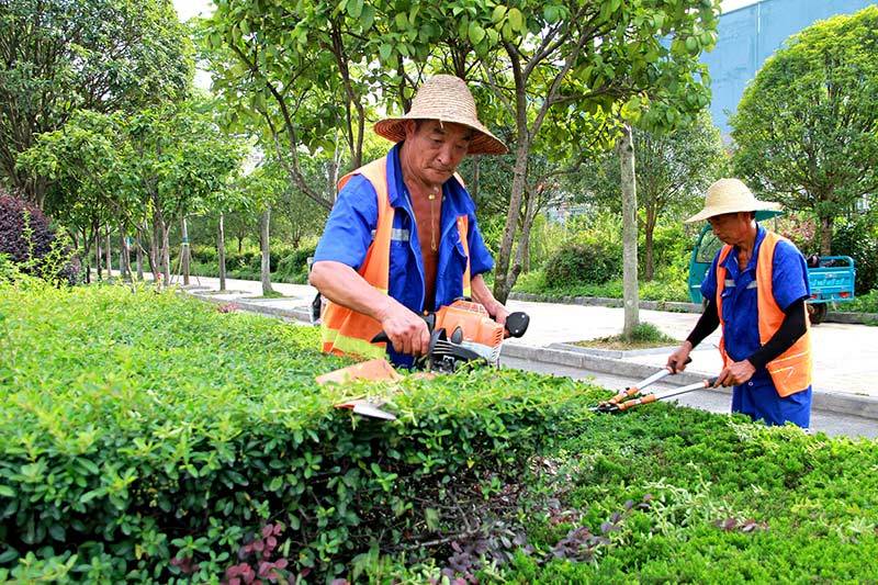 张津瑜与警犬，守护城市的安全使者-第2张图片