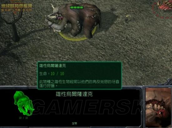 星际争霸秘籍大全无限人口星际争霸秘籍大全，解锁胜利的秘密武器-第2张图片