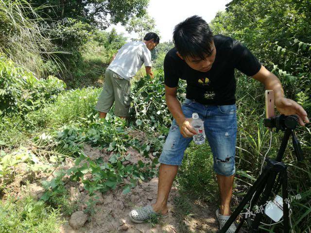 黄鳝门资源黄鳝门资源，探索与保护的重要性-第2张图片