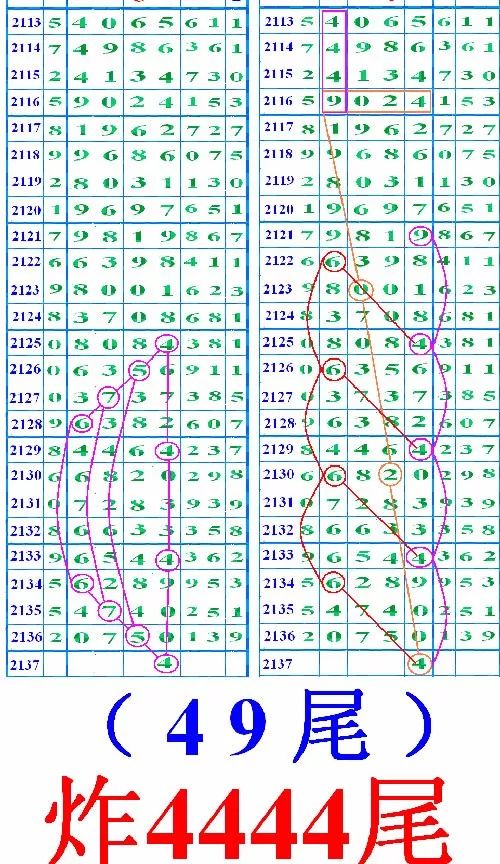 亚洲一码二码区别在哪里亚洲一码与二码的区别解析