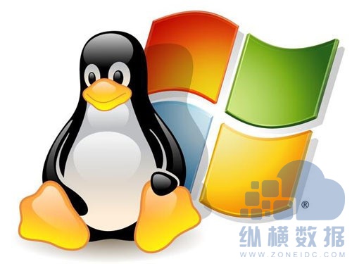 VPSWINDOWS，探索另类精品的无限可能