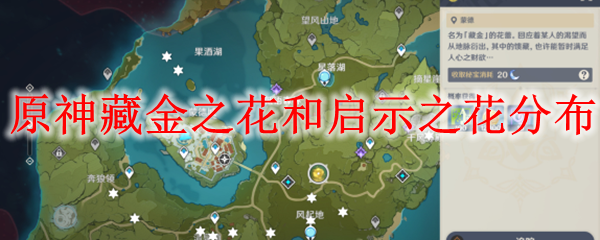 原神地脉之花原神地脉之花，探索与解读-第2张图片