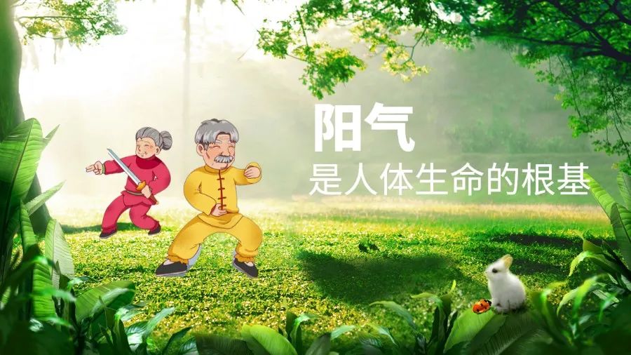 顶峰人体人体艺术探索顶峰人体，挑战极限，追求卓越