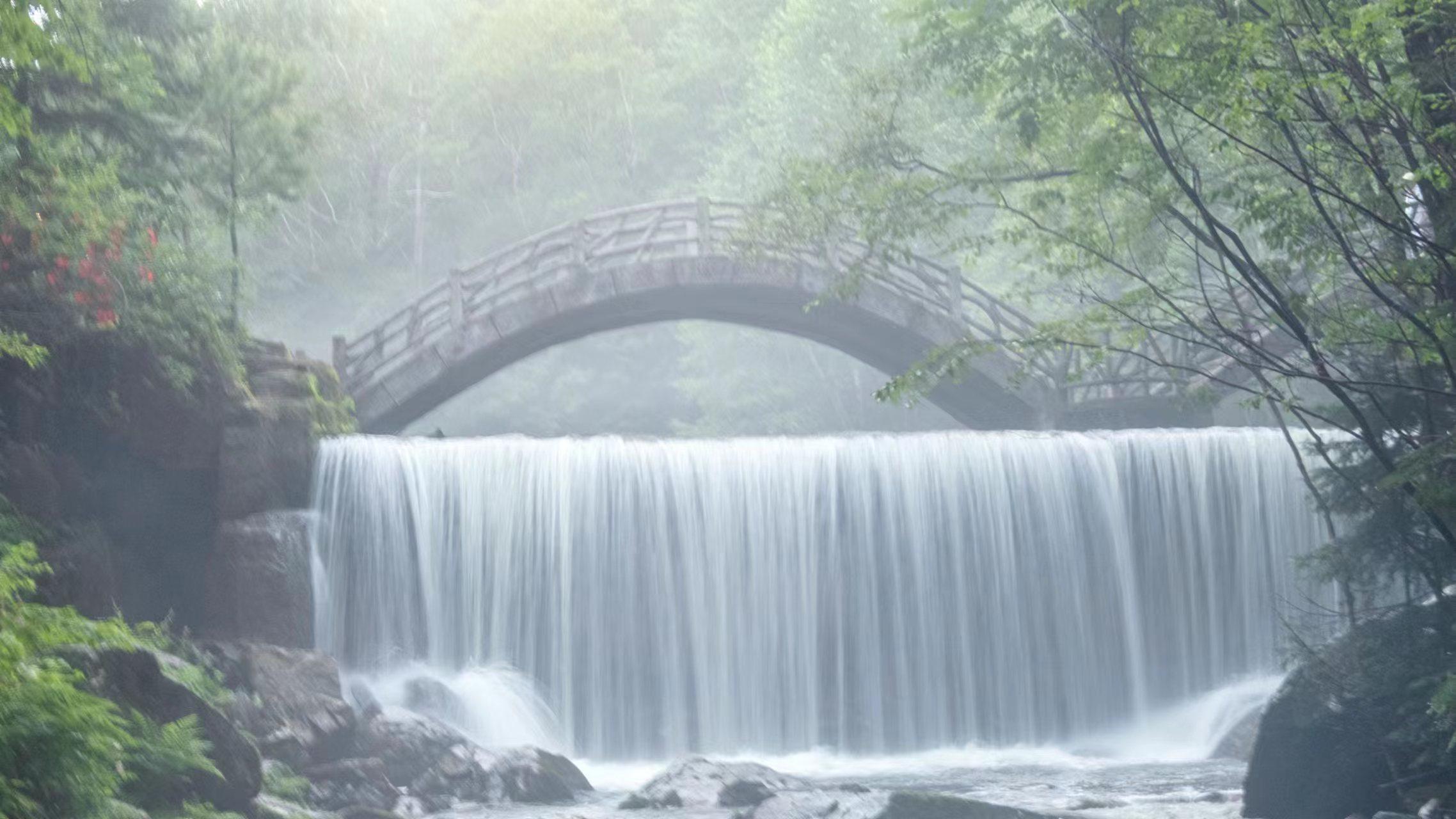 野花香视频在线观看高清免费——探索自然之美与文化魅力-第1张图片