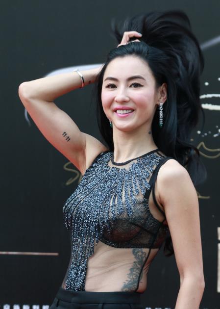 张柏芝不雅照下载链接张柏芝不雅照事件，网络传播与影响分析