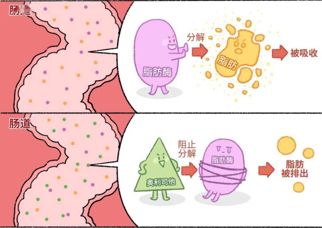 欧美100片一瓶减肥药欧美100p，时尚、艺术与文化的交汇点