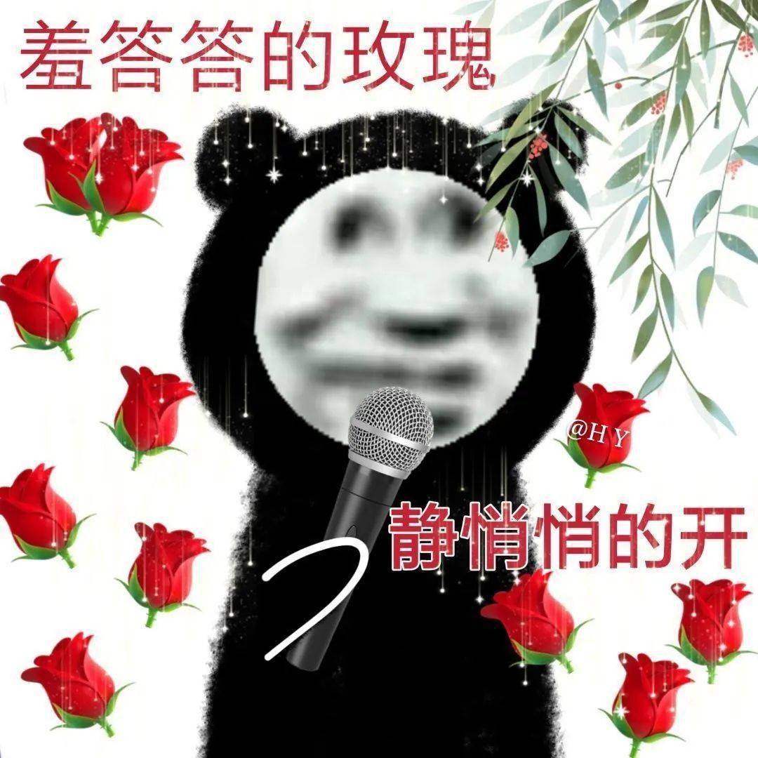 羞答答的玫瑰视频日本羞答答的玫瑰与日本视频文化-第2张图片