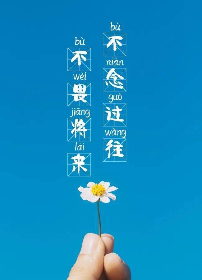 正能量网站www正能量免费观正能量网站——免费获取积极生活能量-第2张图片