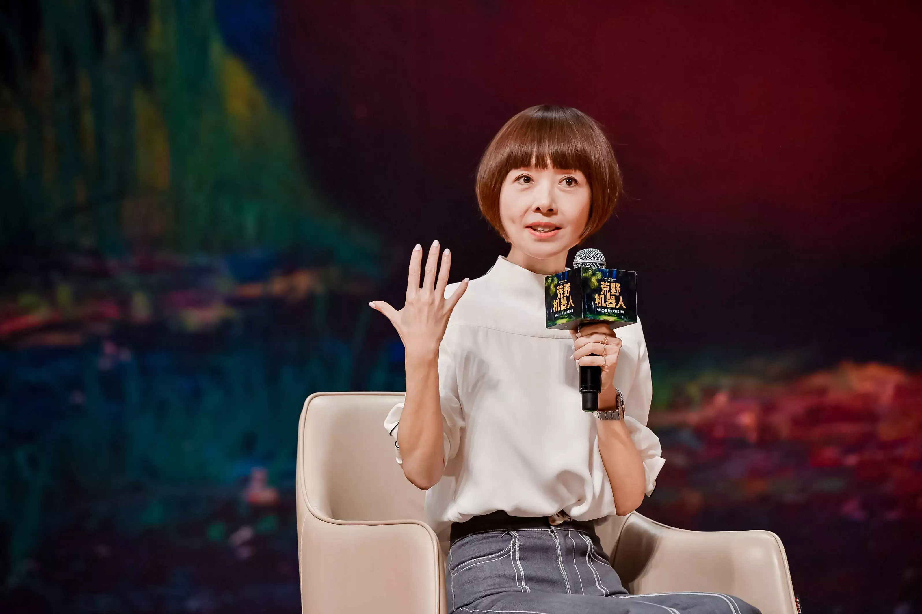 国语精品高清在线观看全集完整版在线播放国语精品高清在线观看，视听盛宴的全新体验-第2张图片