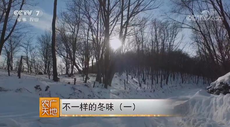 影音天地广播稿影音天地，探索现代娱乐的无限可能