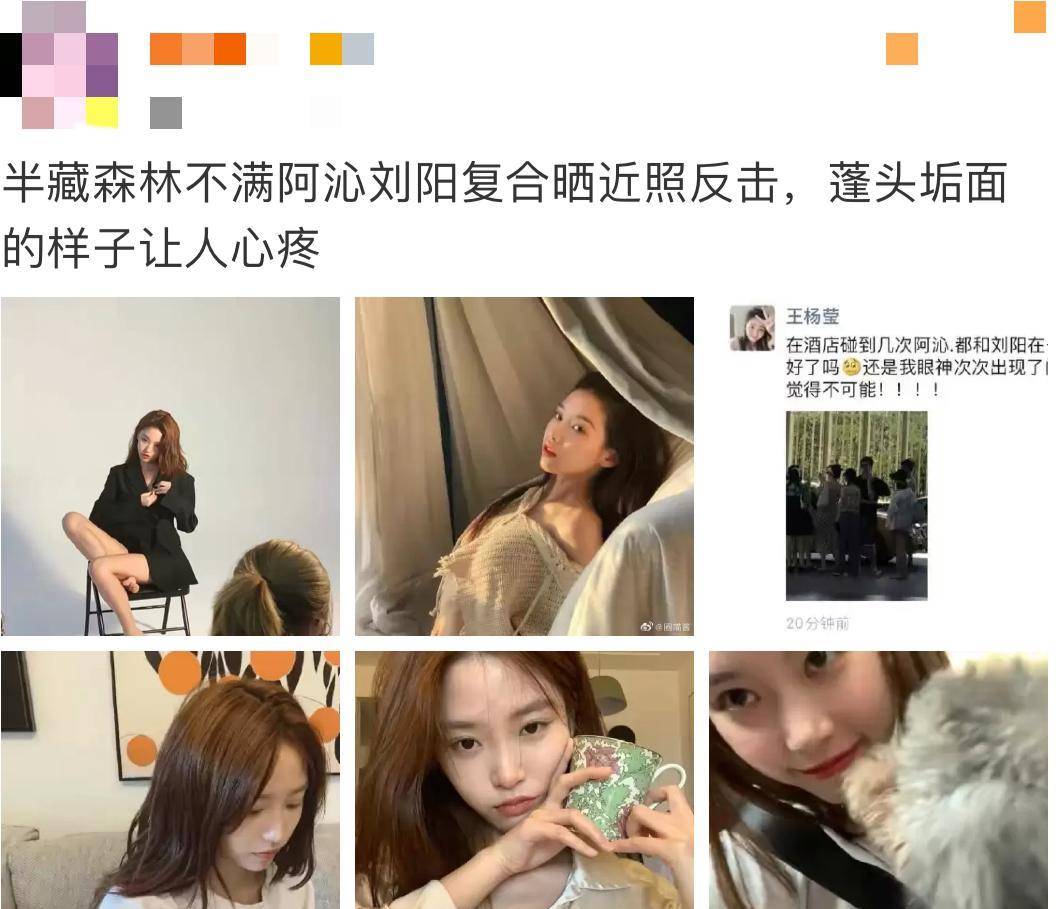 刘阳半藏29分钟视频是什么揭秘刘阳半藏29分钟视频，网络风波背后的真相-第3张图片