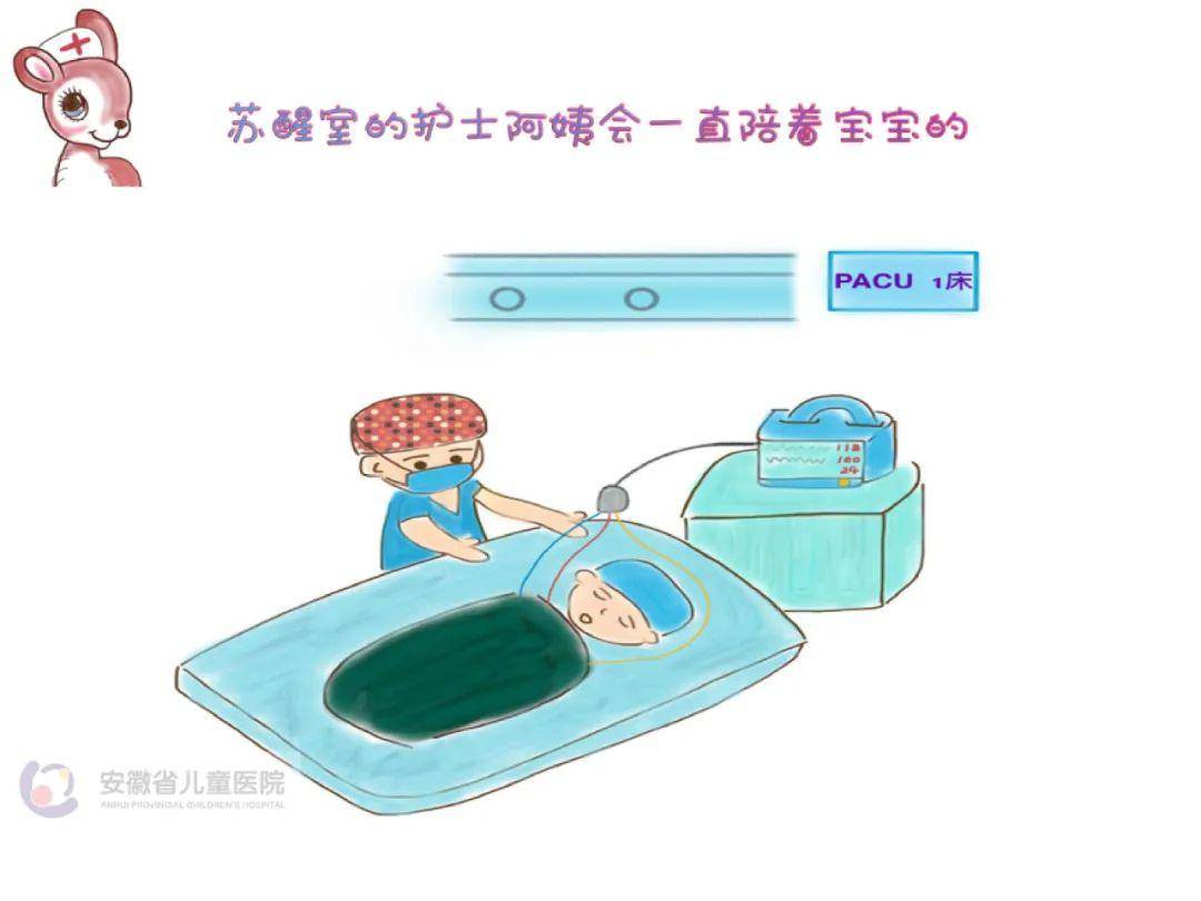 实习护士与动漫的奇妙之旅
