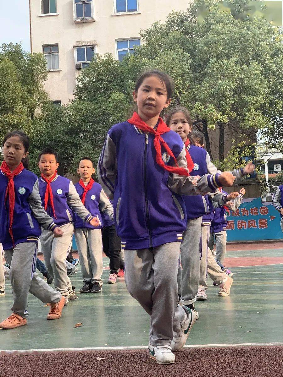 天天向上下载天天向上下载，探索数字时代的成长与学习新路径