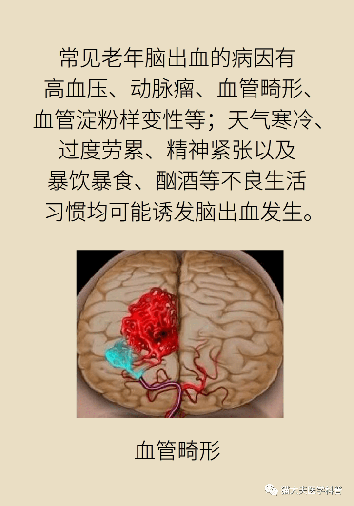 欧美文化与动物互动的探索——警惕不健康内容