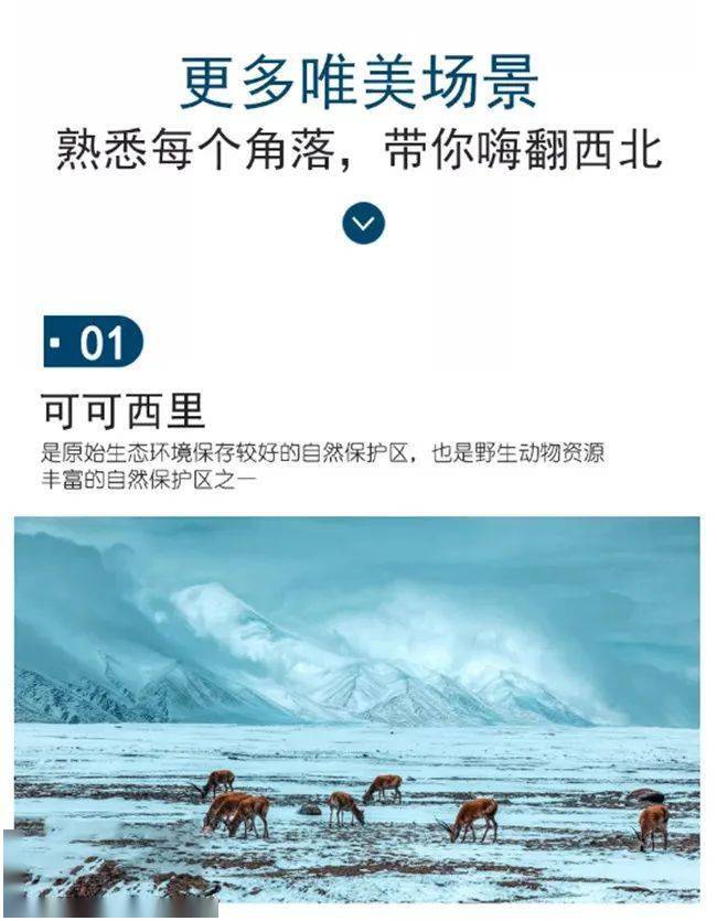 俄罗斯电影禁区2023年上映时间表俄罗斯电影禁区2023年上映，探索未知的视觉盛宴-第2张图片