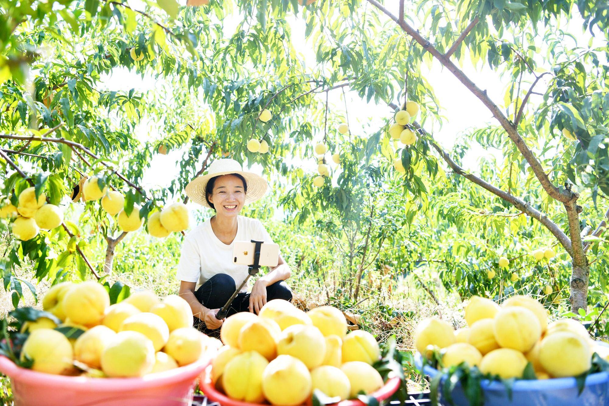 9612黄桃网站进入页面直播探索9612黄桃网站，进入页面直播的魅力之旅