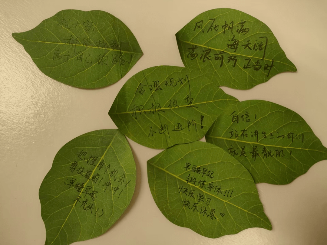 坐在学长的根茎上写句子坐在学长的根茎上写句子的奇妙体验-第2张图片