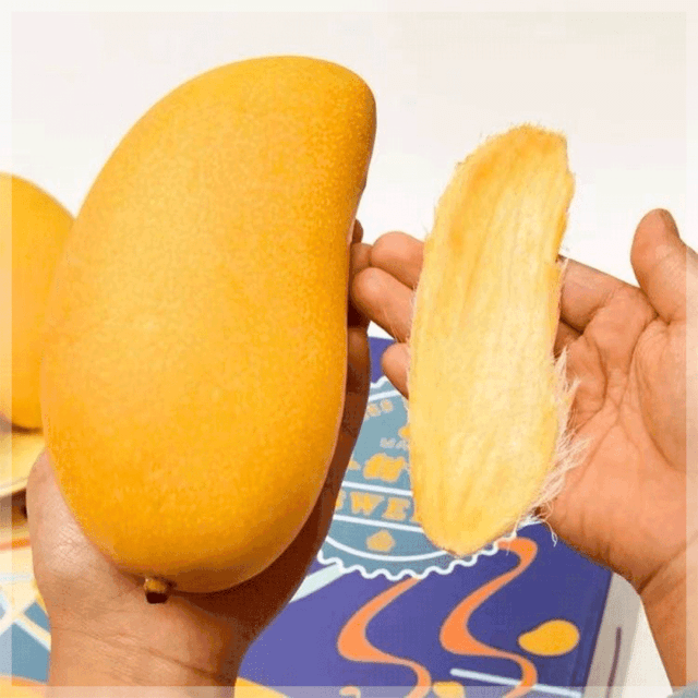 区3区4区产品乱码芒果区3区4区产品乱码问题——以芒果为例的深度解析-第3张图片