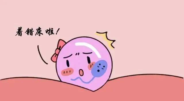 炎之孕育与身体的发育成长-第2张图片