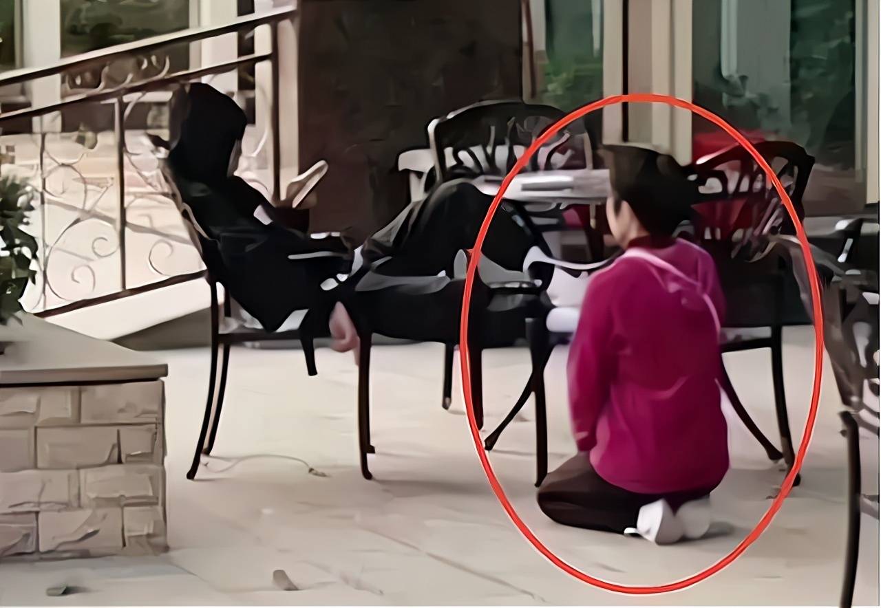 跪求黄址视频在线观看跪求黄址的探索与追寻
