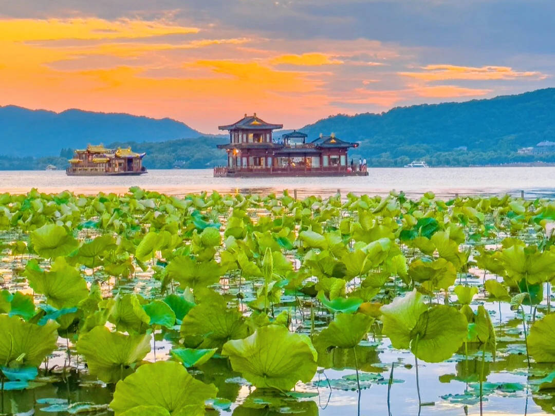 探索Japonensis的魅力，Javahbb在线平台之旅