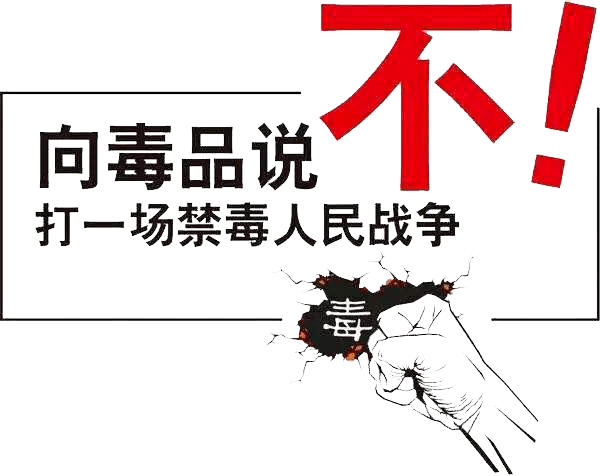 无毒黄站——健康网络环境的守护者-第2张图片