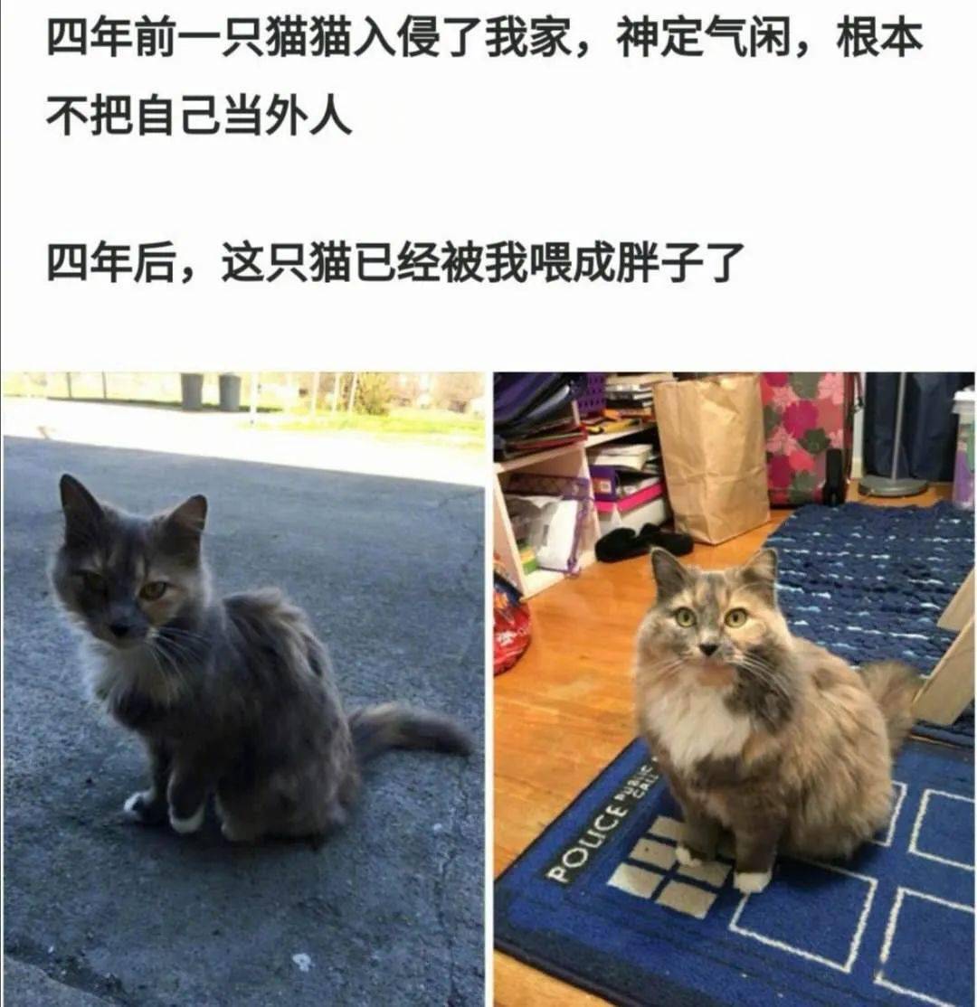 女人被公牛进入女人遭遇意外，公牛的突然入侵-第2张图片