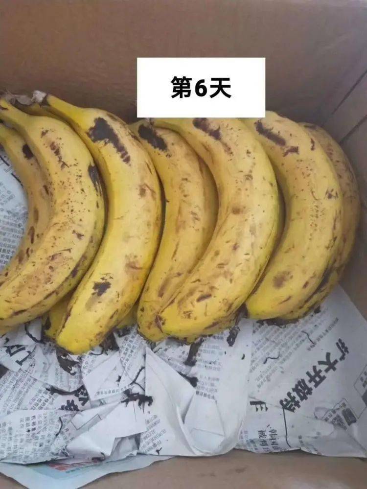 香蕉在线观看999香蕉在线观看999的探索与注意事项