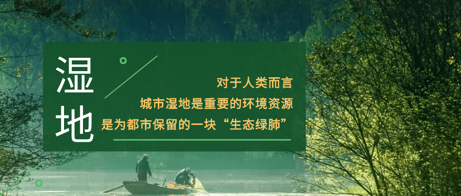 如何正确理解与访问网络资源——以禁慢天堂为例-第1张图片