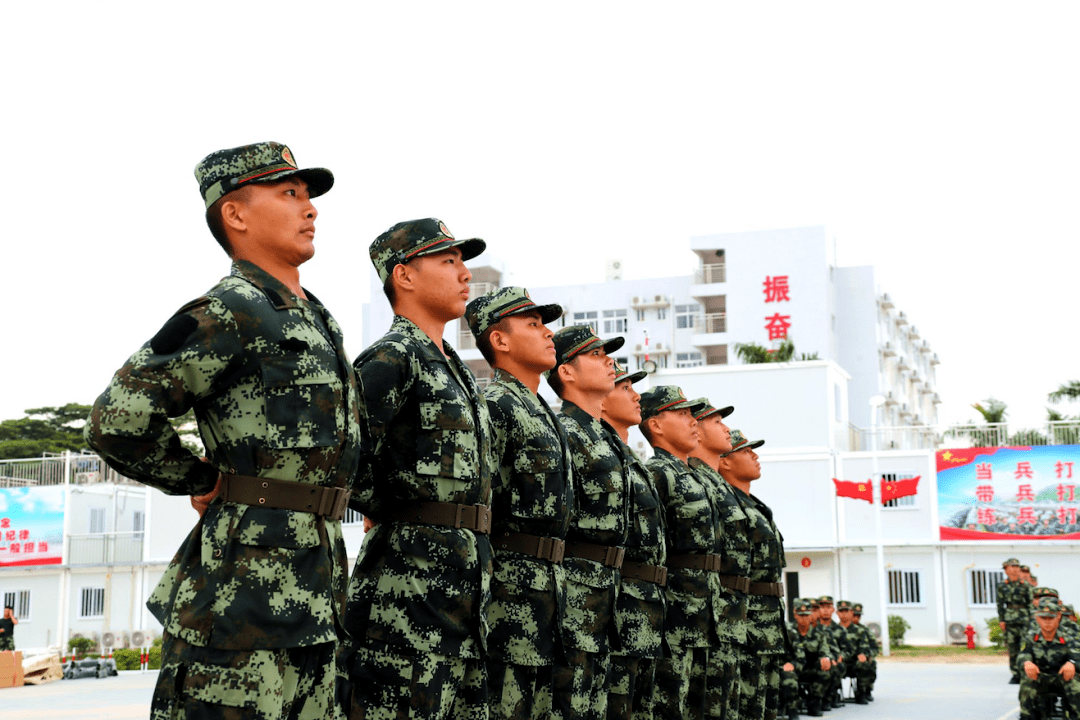 新兵下载新兵下载，探索数字化时代的军事变革-第1张图片