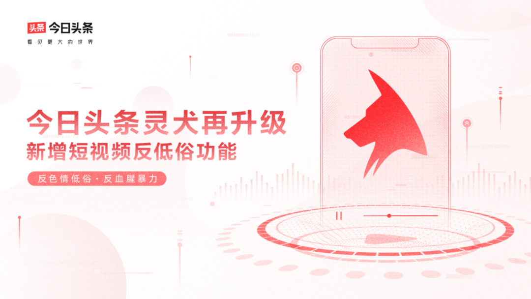 9·1短视频芒果视频玉兔社区，一个充满活力与温馨的社区-第3张图片